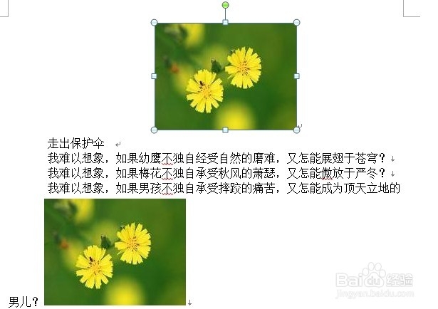 如何将word中的指定文字批量替换为图片?