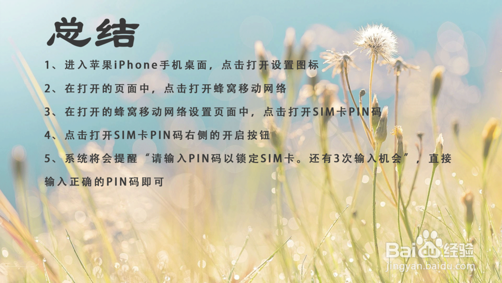 苹果iPhone手机怎样输入PIN码锁定SIM卡？