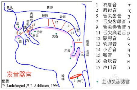 教你怎样练习发声