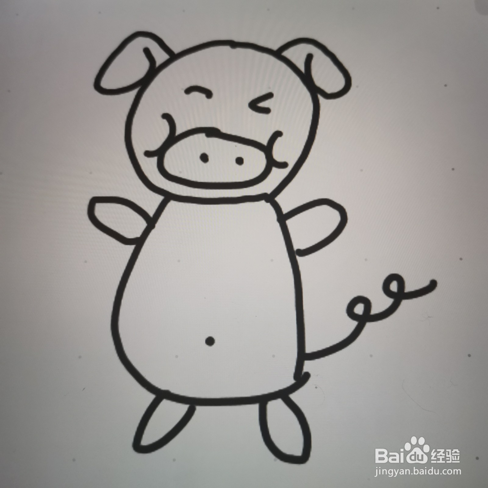 小动物简笔画怎么画