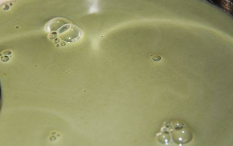 好吃的抹茶布丁