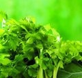 坚持吃就能瘦的六种常见蔬菜