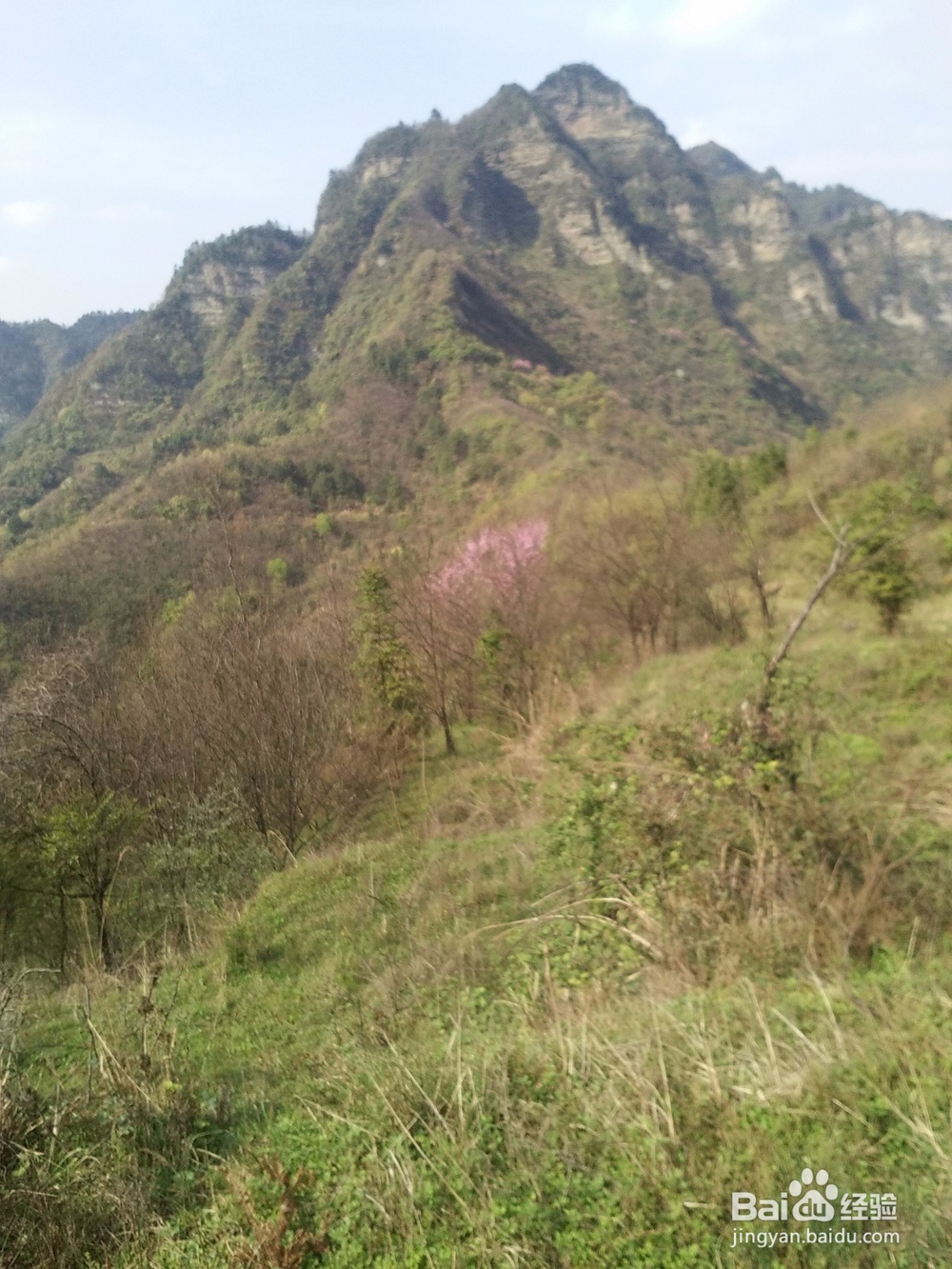 面试公考注意要点
