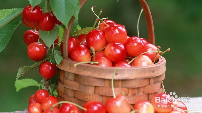 生活中常见的含有毒素的食物