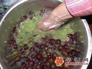 葡萄酒的制作方法