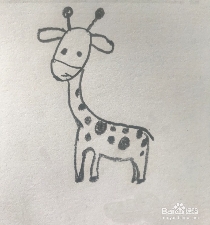 【简笔画】长颈鹿的分步画法