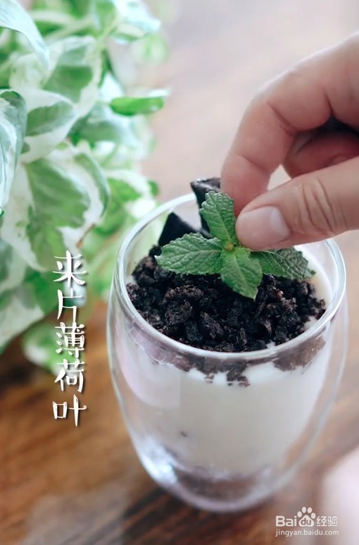 教你做一款奥利奥酸奶盆栽