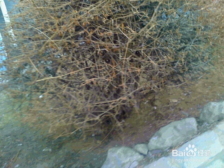 要保护植被就不要踩踏