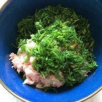 如何自制茴香猪肉水煎饺