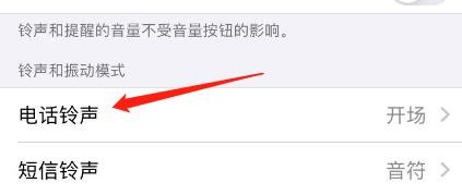 苹果手机的电话铃声在哪里可以修改