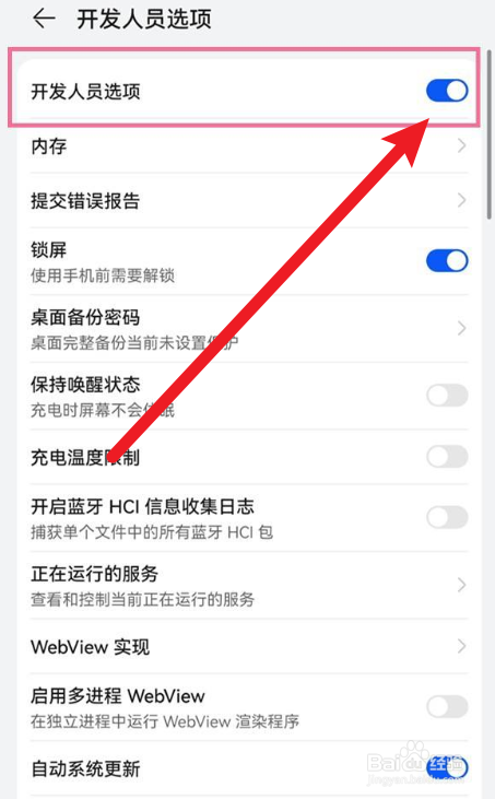 在哪里打开鸿蒙系统的开发人员选项