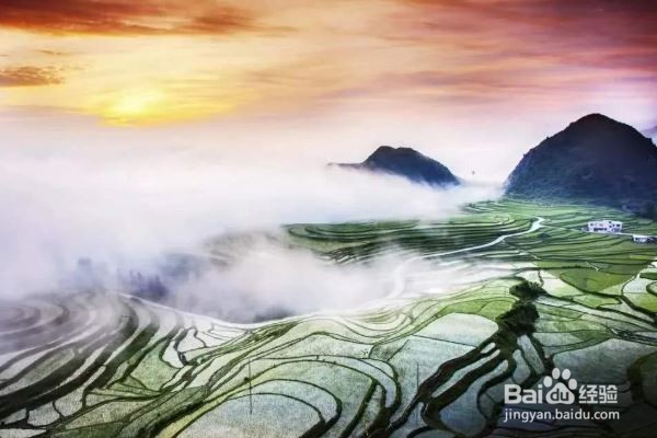 五一出游注意事项