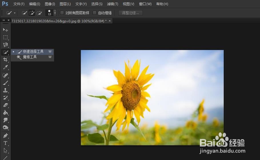 PS如何使用快速选择工具抠图