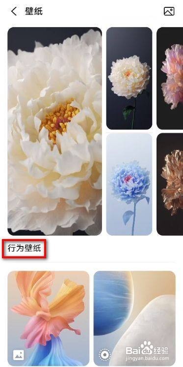 行为壁纸怎么设置