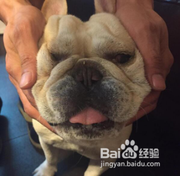 如何社交网络晒照发朋友圈技巧