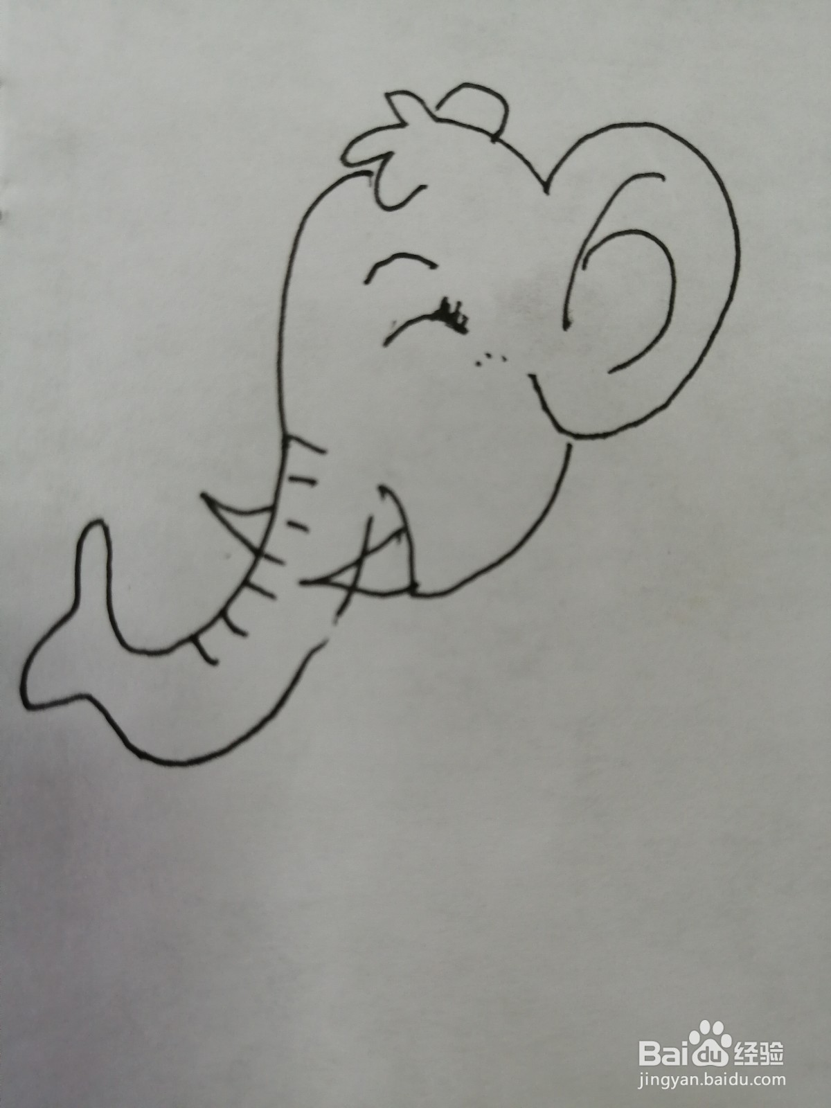 简笔画可爱的大象怎么画