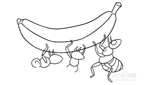 简笔画:忠诚的小狗和蚂蚁的绘画步骤