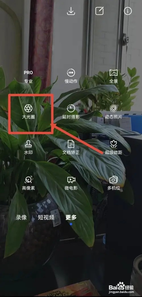 手机拍花如何设置背景虚化