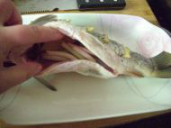 家庭版清蒸鲤鱼