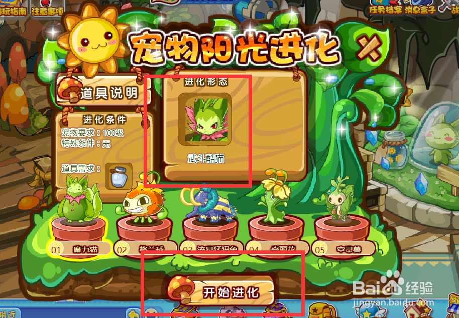 洛克王国武斗酷猫怎么获得