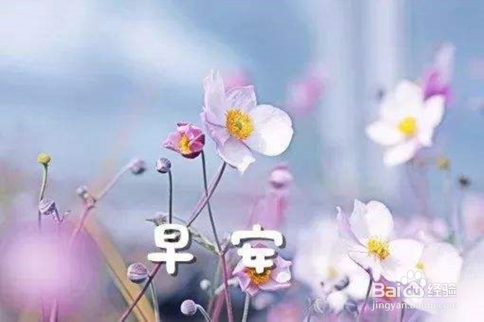 怎么运营好微信社群