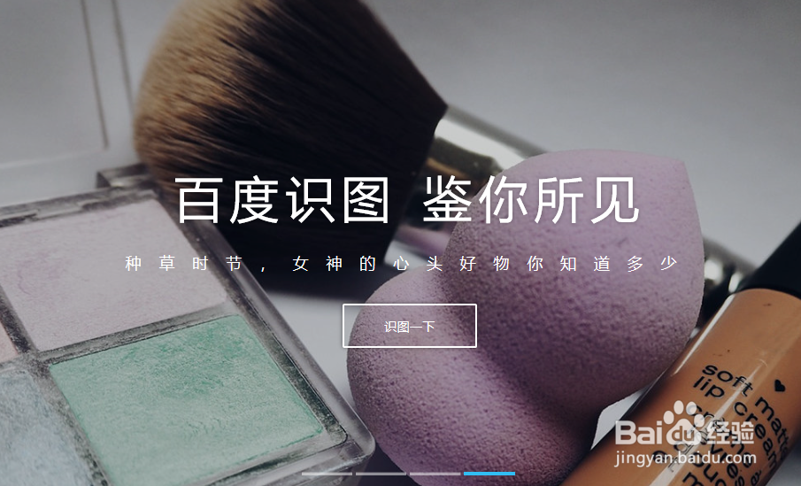 动态图怎么找出处