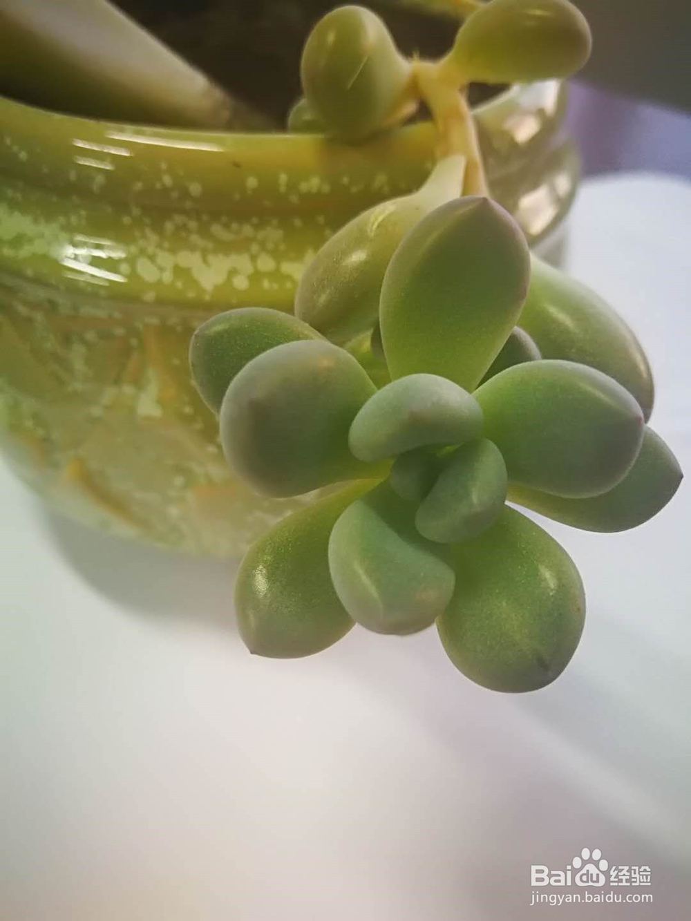 冬季嘴唇干裂、爆皮的原因及处理方法