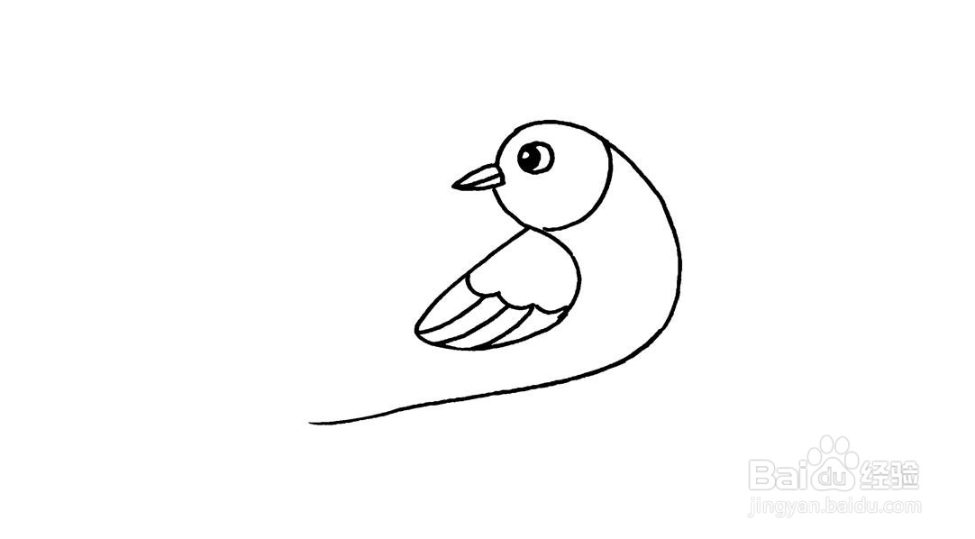 无名小鸟简笔画教程