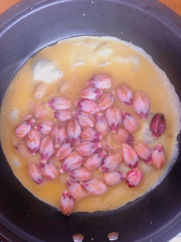 粉嫩木槿花炒蛋