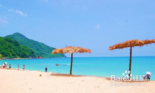 杨梅坑踩单车、西冲海滨风情一天欢乐游