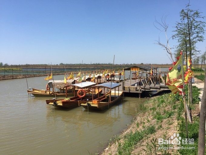 高邮周末踏青一日游推荐