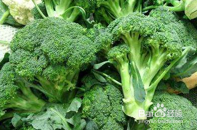 西兰花DIY创意小书屋微景观做法