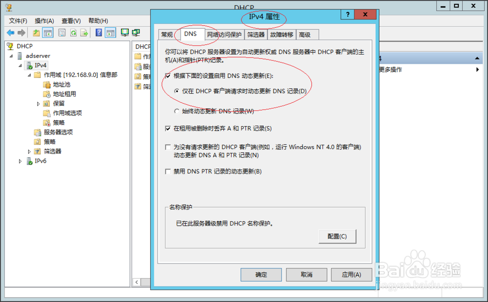 服务器启用DHCP IPv4所有作用域域名动态更新
