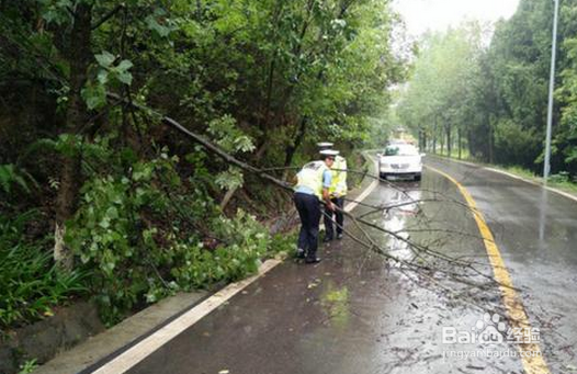 下雨天出行要注意什么