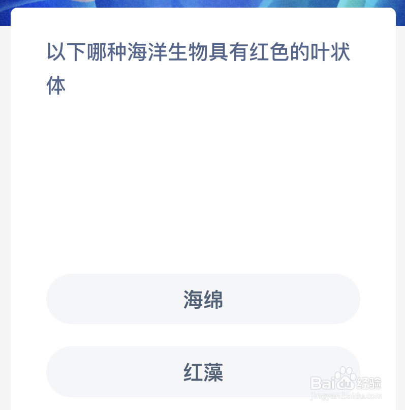 神奇海洋以下哪种海洋生物具有红色的叶状体