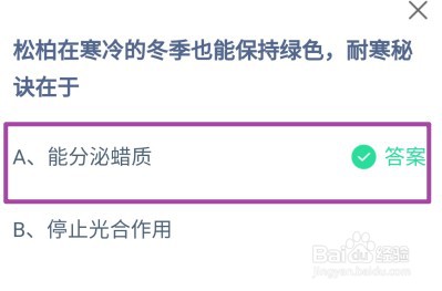 蚂蚁庄园，松柏在冬季也能保持绿色耐寒秘诀在于