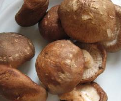 青菜香菇的做法