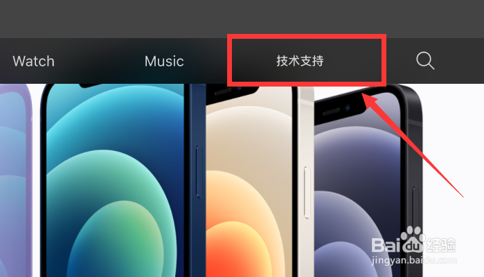 苹果手表闲置太久充不了电怎么解决？