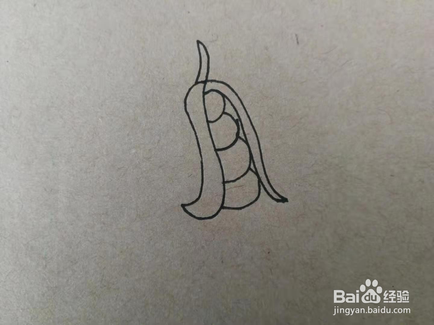 简笔画四季豆