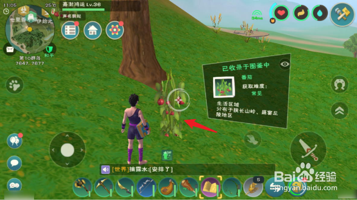 创造与魔法章鱼刺身怎么做