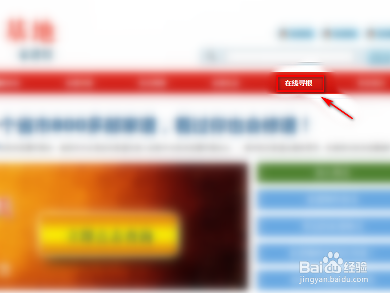 姓氏字辈怎么查询