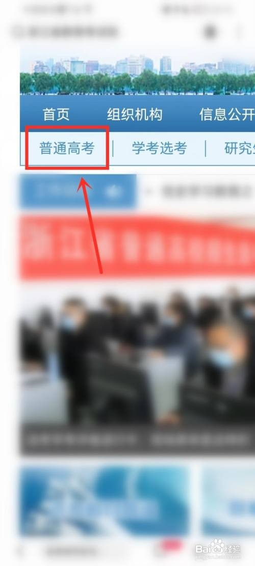 怎样查询学校的最低投档线