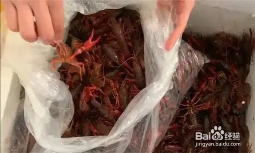 小龙虾怎样保鲜