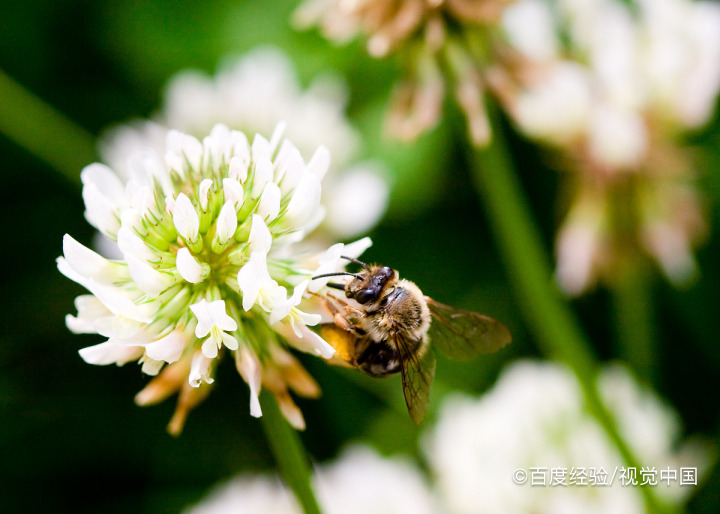 在端午节，我们都有哪些传统的习俗？