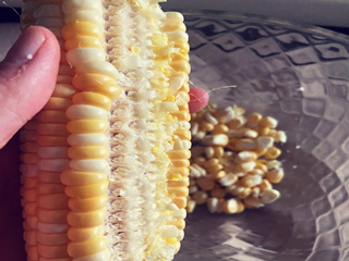 芝士玉米烙怎么做?