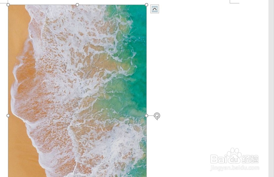 word图片怎么旋转90度