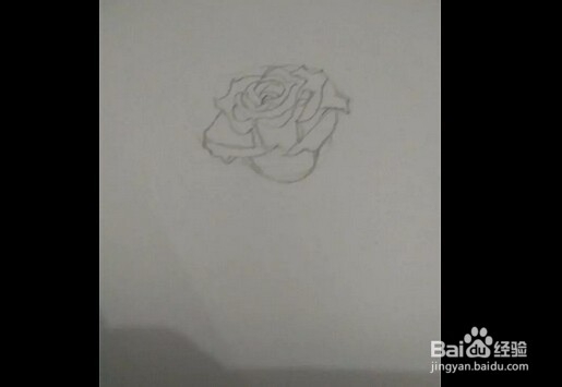 简笔画:手绘铅笔画“一枝红玫瑰”