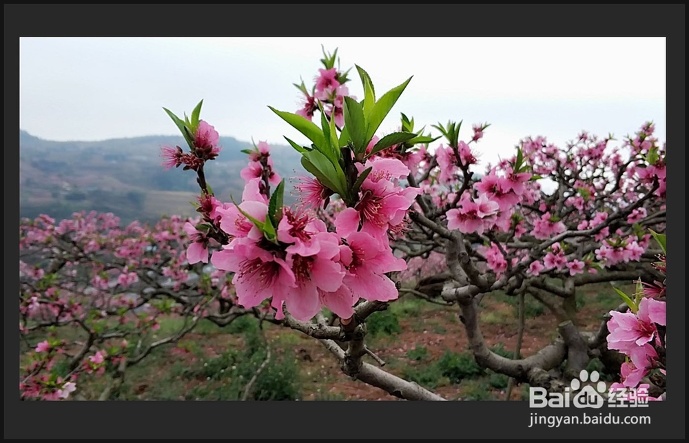 怎样用Photoshop制作黑白照片