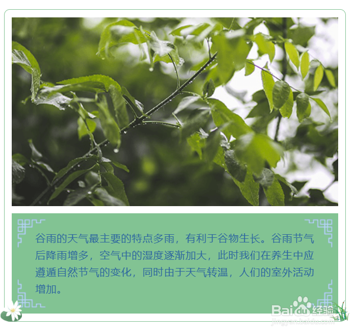 谷雨来临,微信公众号图文排版有哪些素材?
