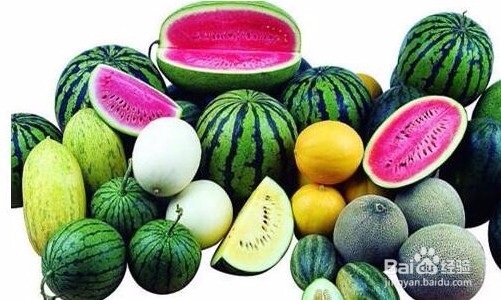 水果有那些品种